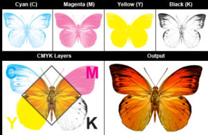 RGB, CMYK, PMS - What's The Difference? - Precise Continental